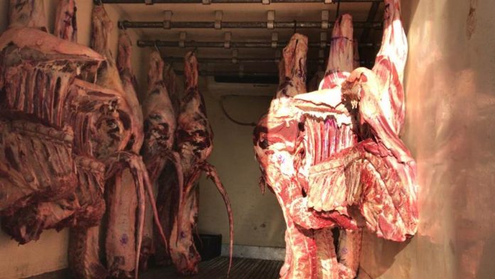 carne apreendida PRF gravatá