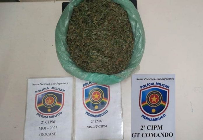 Maconha apreendida Cabrobó