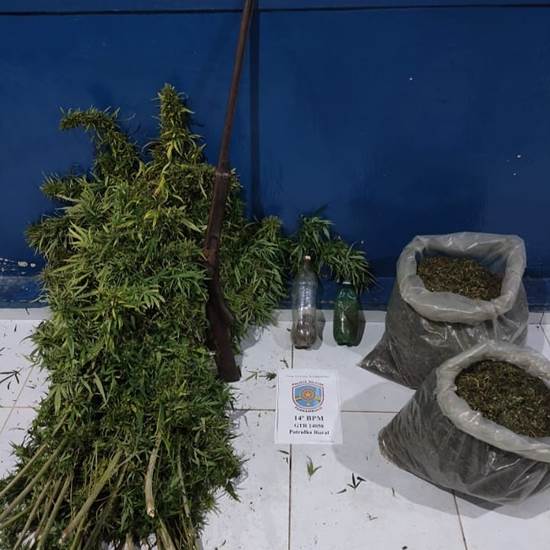 maconha São José do Belmonte